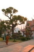 arriving_in_wat_po