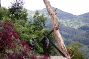 10_chemin