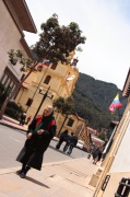 26_edad