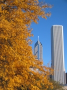feu_d'automne