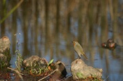 IMG_8221