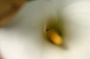 I_Pat05