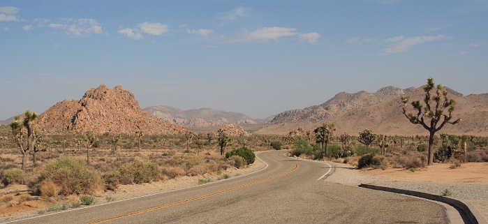 06_chemin_tout_trace.JPG