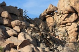 03_cadavre_cache