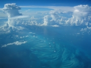 mer-des-sargasses