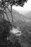 IMG_7742