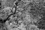 IMG_7940n