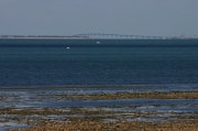 pont_ile_de_Re