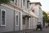 IMG_9251