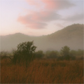 Pilanesberg sensations