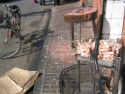 carton-patte!