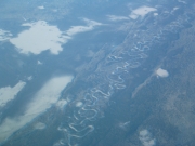 serpent_siberien