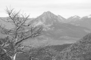 IMG_6081