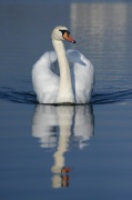 lumiere2